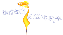 Клёвый аквариум