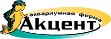 Акцент