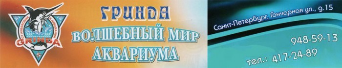 Гринда Санкт-Петербург