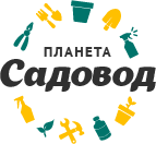 Планета Садовод Москва