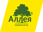 Аллея