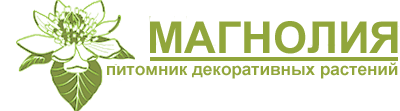 Питомник декоративных растений Магнолия