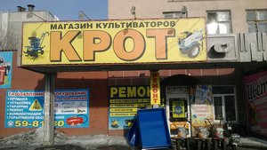 Крот