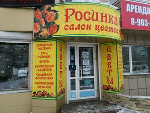 Росинка