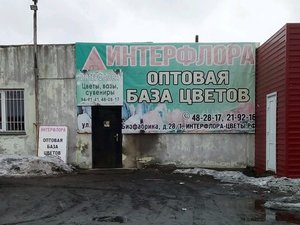 Интерфлора