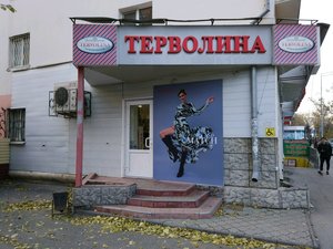 Терволина