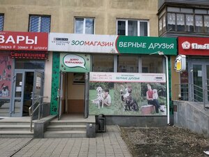 Верные друзья Екатеринбург