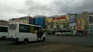 Бархатная роза Омск