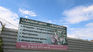 Флоренс Новосибирск