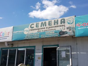 Семена