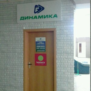 Динамика Челябинск