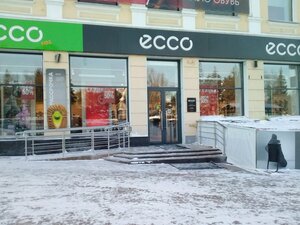 Ecco Омск