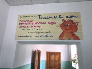 Толстый кот