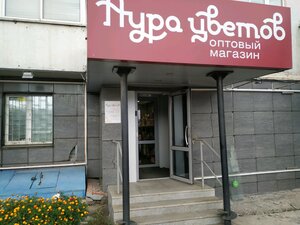 Аура цветов