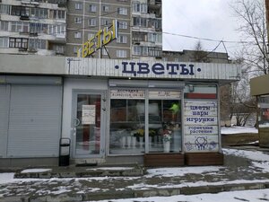 Сиреневый Люпин Екатеринбург