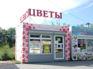 Цветочная феерия