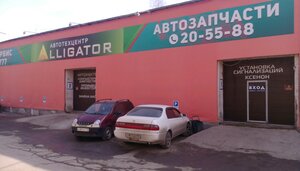 Alligator Томск