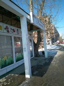 Камелия Челябинск