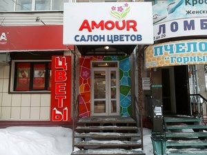 Амур Новосибирск