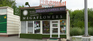 MegaFlowers