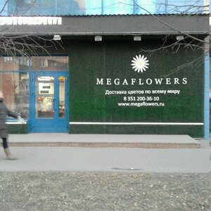 MegaFlowers