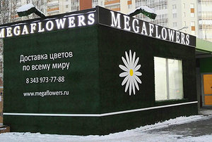 MegaFlowers