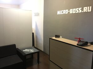 Микронаушники от Micro-boss