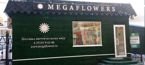 MegaFlowers