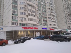 Терволина