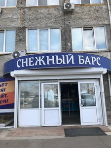 Снежный барс