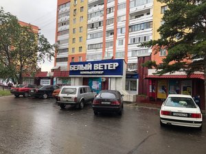 Компания Белый Ветер