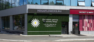 MegaFlowers Челябинск