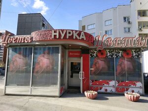 Нурка