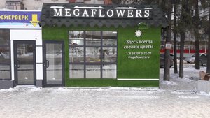 MegaFlowers