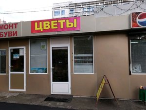 Цветы