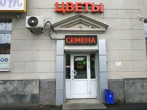 Цветы