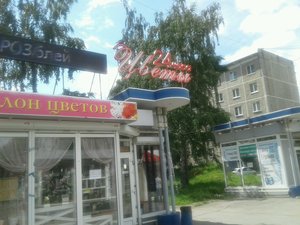 Городские цветы