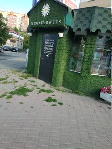 MegaFlowers Челябинск