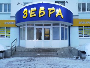 Зебра