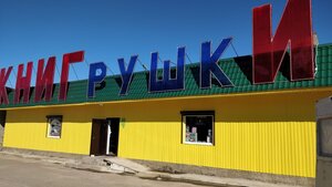 Книги и игрушки