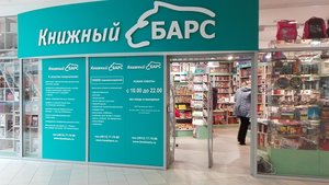 Книжный барс