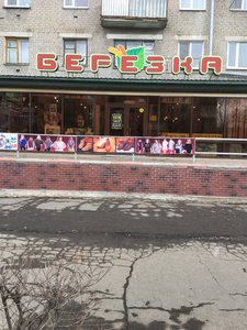 Берёзка