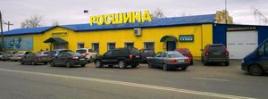 Росшина