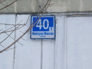 Бабочка Москва