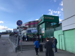 Простоцветы Москва