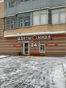 Цветы мира