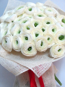 Флористическая студия Ranunculus