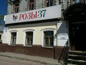 Розы37