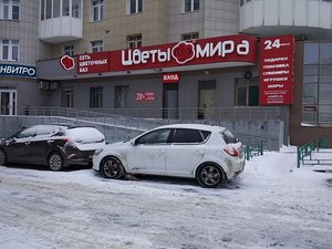 Цветы мира Москва