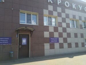 Крокус